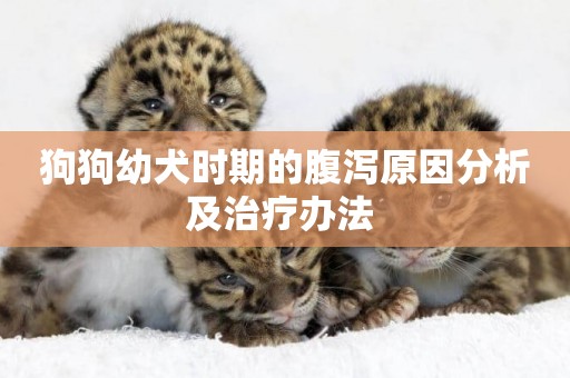 狗狗幼犬時期的腹瀉原因分析及治療辦法 