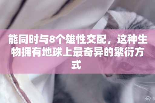 能同時與8個雄性交配，這種生物擁有地球上最奇異的繁衍方式 