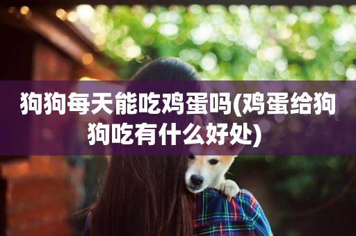 狗狗每天能吃雞蛋嗎(雞蛋給狗狗吃有什么好處) 