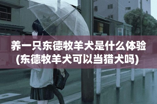 養一只東德牧羊犬是什么體驗(東德牧羊犬可以當獵犬嗎) 