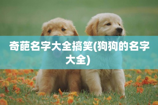 奇葩名字大全搞笑(狗狗的名字大全) 