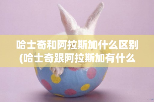 哈士奇和阿拉斯加什么區別(哈士奇跟阿拉斯加有什么區別) 