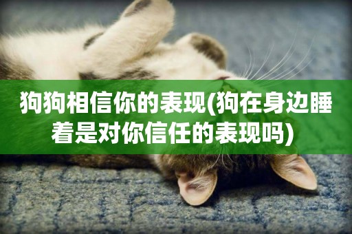 狗狗相信你的表現(狗在身邊睡著是對你信任的表現嗎) 