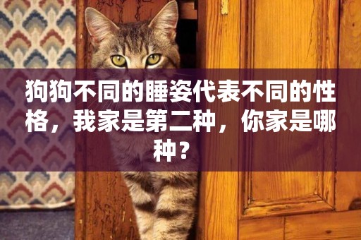 狗狗不同的睡姿代表不同的性格，我家是第二種，你家是哪種？ 