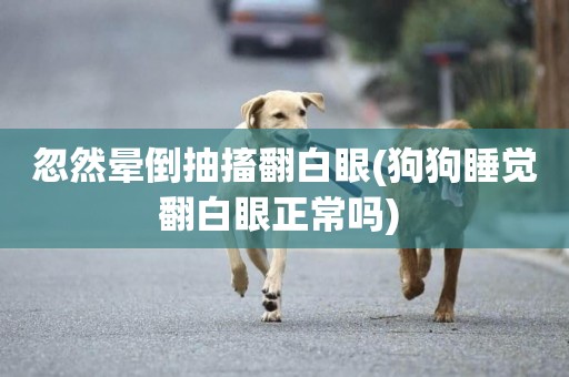 忽然暈倒抽搐翻白眼(狗狗睡覺翻白眼正常嗎) 