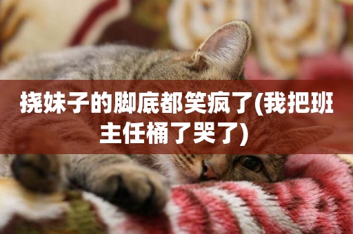撓妹子的腳底都笑瘋了(我把班主任桶了哭了) 
