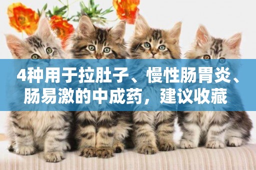 4種用于拉肚子、慢性腸胃炎、腸易激的中成藥，建議收藏 