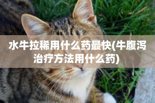 水牛拉稀用什么藥最快(牛腹瀉治療方法用什么藥) 