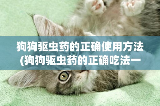 狗狗驅蟲藥的正確使用方法(狗狗驅蟲藥的正確吃法一次吃幾片) 