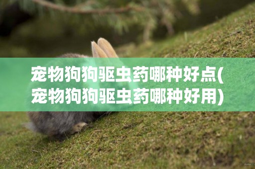 寵物狗狗驅蟲藥哪種好點(寵物狗狗驅蟲藥哪種好用) 