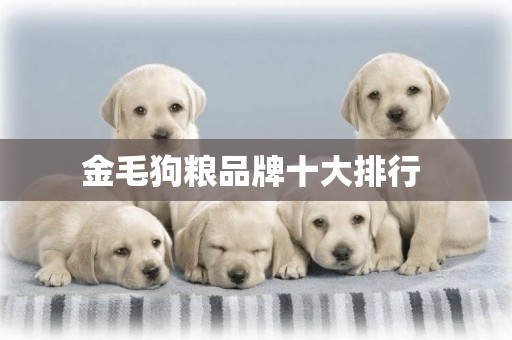 金毛狗糧品牌十大排行 