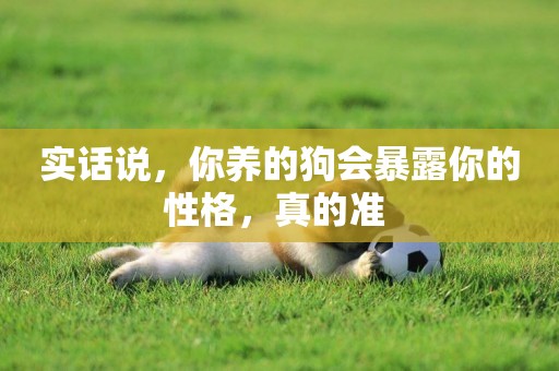 實話說，你養的狗會暴露你的性格，真的準 