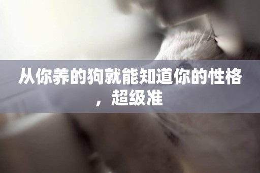 從你養的狗就能知道你的性格，超級準 
