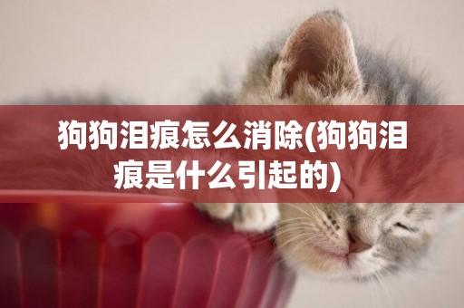狗狗淚痕怎么消除(狗狗淚痕是什么引起的) 