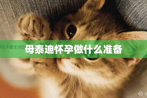 母泰迪懷孕做什么準備