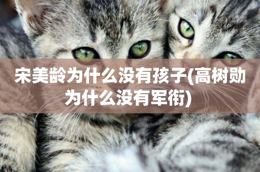 宋美齡為什么沒有孩子(高樹勛為什么沒有軍銜) 