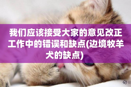 我們應該接受大家的意見改正工作中的錯誤和缺點(邊境牧羊犬的缺點) 