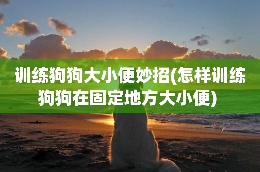 訓練狗狗大小便妙招(怎樣訓練狗狗在固定地方大小便) 