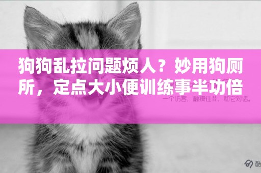 狗狗亂拉問題煩人？妙用狗廁所，定點大小便訓練事半功倍 