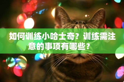 如何訓練小哈士奇？訓練需注意的事項有哪些？ 