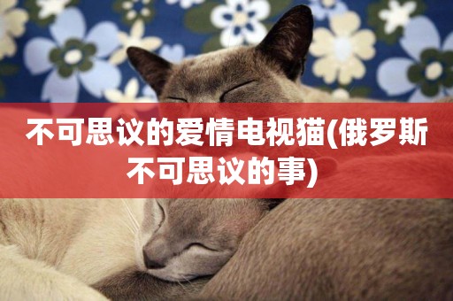 不可思議的愛情電視貓(俄羅斯不可思議的事) 
