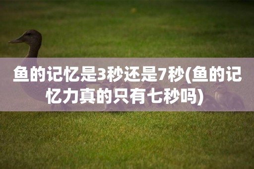 魚的記憶是3秒還是7秒(魚的記憶力真的只有七秒嗎) 