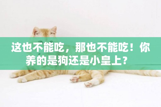 這也不能吃，那也不能吃！你養的是狗還是小皇上？ 