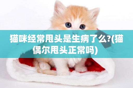 貓咪經常甩頭是生病了么?(貓偶爾甩頭正常嗎) 