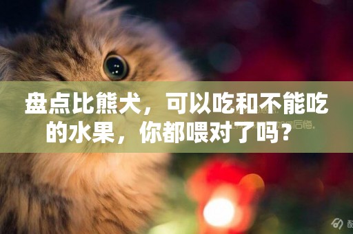 盤點比熊犬，可以吃和不能吃的水果，你都喂對了嗎？ 