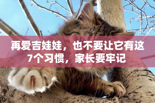 再愛吉娃娃，也不要讓它有這7個習慣，家長要牢記 