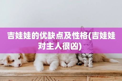 吉娃娃的優缺點及性格(吉娃娃對主人很兇) 