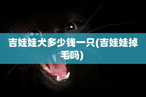 吉娃娃犬多少錢一只(吉娃娃掉毛嗎) 