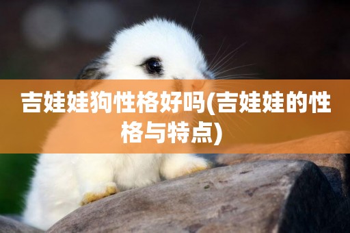 吉娃娃狗性格好嗎(吉娃娃的性格與特點) 