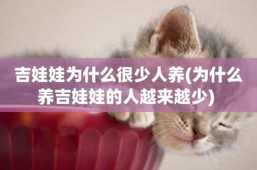 吉娃娃為什么很少人養(為什么養吉娃娃的人越來越少) 
