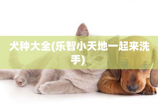 犬種大全(樂智小天地一起來洗手) 