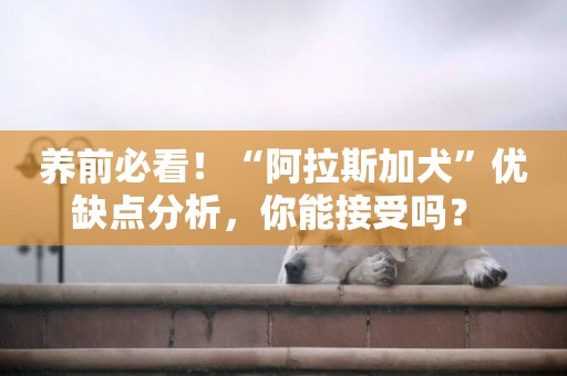 養前必看！“阿拉斯加犬”優缺點分析，你能接受嗎？ 