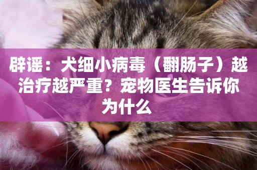 辟謠：犬細小病毒（翻腸子）越治療越嚴重？寵物醫生告訴你為什么 