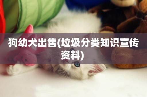 狗幼犬出售(垃圾分類知識宣傳資料) 
