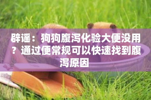 辟謠：狗狗腹瀉化驗大便沒用？通過便常規可以快速找到腹瀉原因 