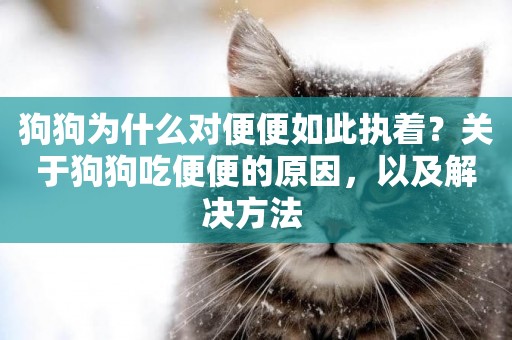 狗狗為什么對便便如此執著？關于狗狗吃便便的原因，以及解決方法 