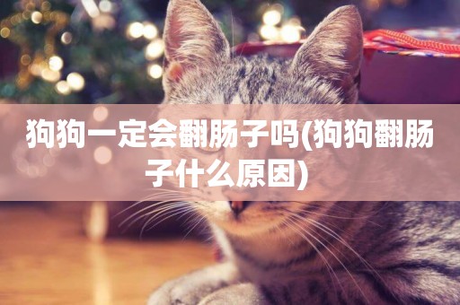 狗狗一定會翻腸子嗎(狗狗翻腸子什么原因) 