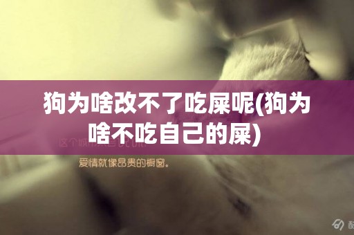 狗為啥改不了吃屎呢(狗為啥不吃自己的屎) 