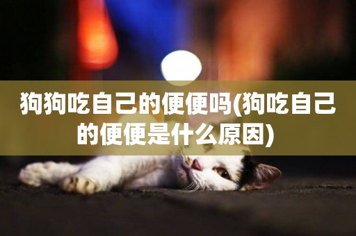 狗狗吃自己的便便嗎(狗吃自己的便便是什么原因) 