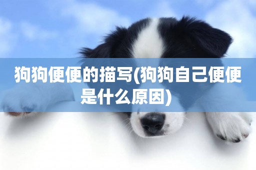 狗狗便便的描寫(狗狗自己便便是什么原因) 