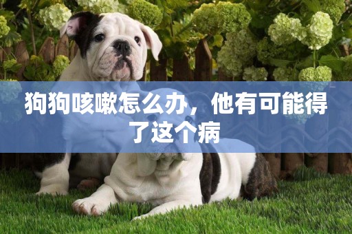狗狗咳嗽怎么辦，他有可能得了這個病 