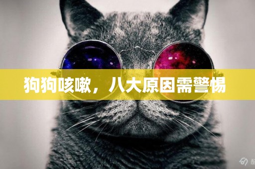 狗狗咳嗽，八大原因需警惕 