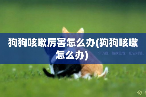 狗狗咳嗽厲害怎么辦(狗狗咳嗽怎么辦) 