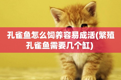 孔雀魚怎么飼養容易成活(繁殖孔雀魚需要幾個缸) 