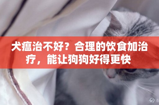 犬瘟治不好？合理的飲食加治療，能讓狗狗好得更快 