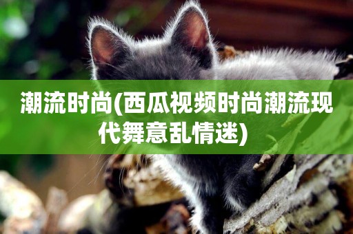 潮流時尚(西瓜視頻時尚潮流現代舞意亂情迷) 
